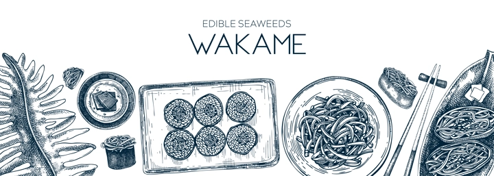 Edible seaweed vector background. Hand-drawn wakame algae border design. Sea vegetables, seaweeds, and healthy food vector illustrations. Japanese cuisine restaurant menu template